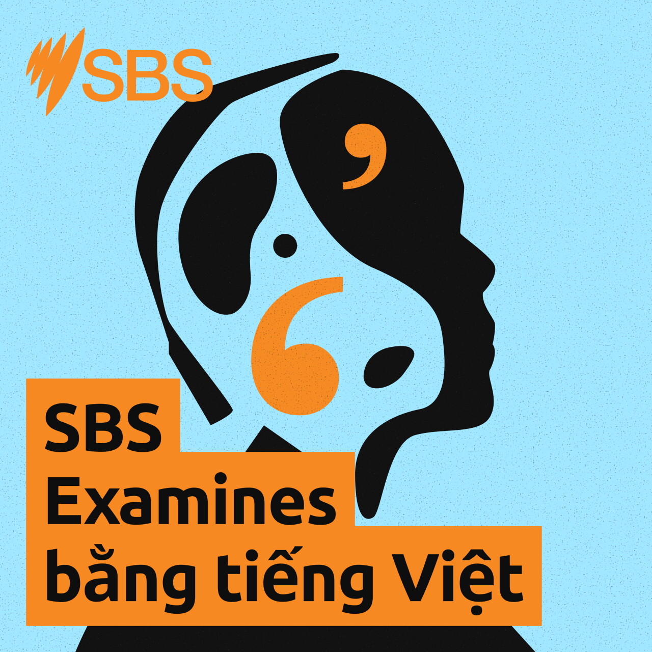 Rapa Nui repatriations: Right or wrong? - SBS Examines: Có nên hồi hương hiện vật và hài cốt cho Rapa Nui? episode artwork