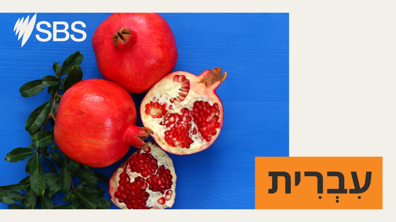 "זה לא לקלסטרופובים" אומרת בחיוך צלמת הבית הישראלית של נשיונל ג'יאוגרפיק "זה לא לקלסטרופובים" אומרת בחיוך צלמת הבית הישראלית של נשיונל ג'יאוגרפיק