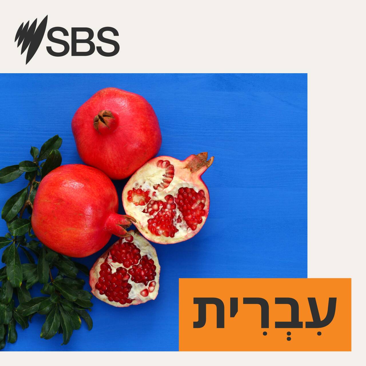 Hopes & Fears in the Jewish Sphere - in conversation with Rabbi Allison Conyer episode artwork