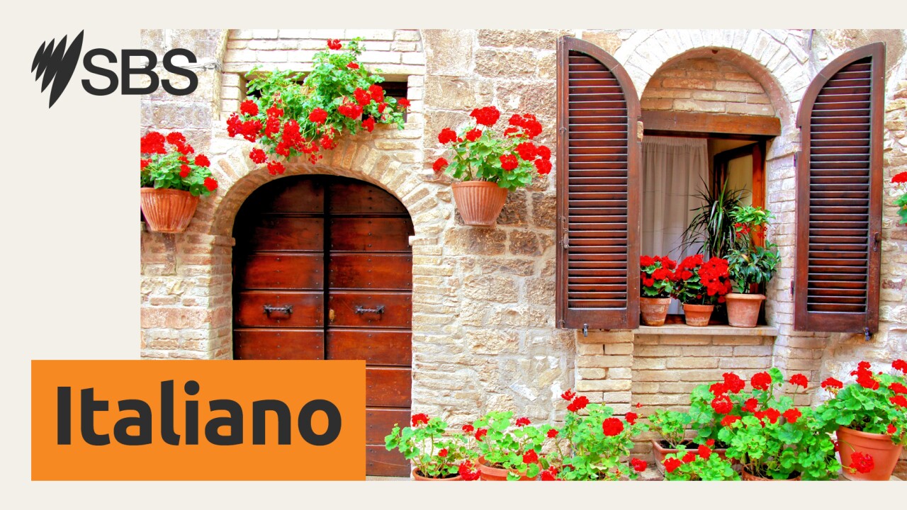 Estate in arrivo, come prendersi cura del giardino?