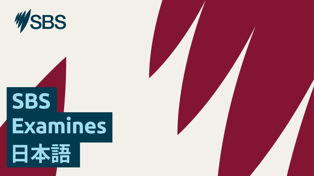 Why are we debating Welcome to Country? - SBS Examines: 選挙前の今、なぜ「Welcome to Country」が話題になっているの?
