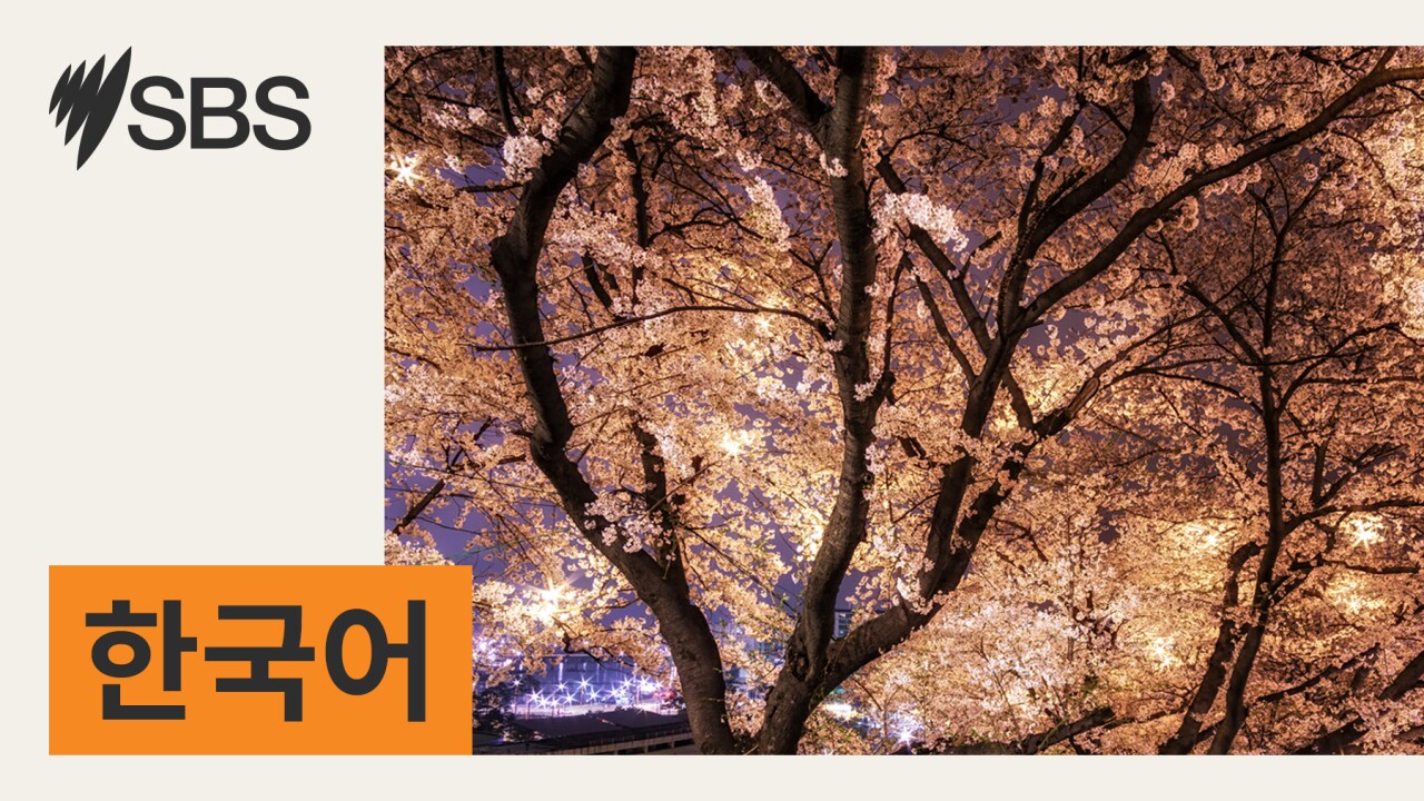 매일 10분 내로 정리하는 호주 뉴스: 11월 28일 금요일