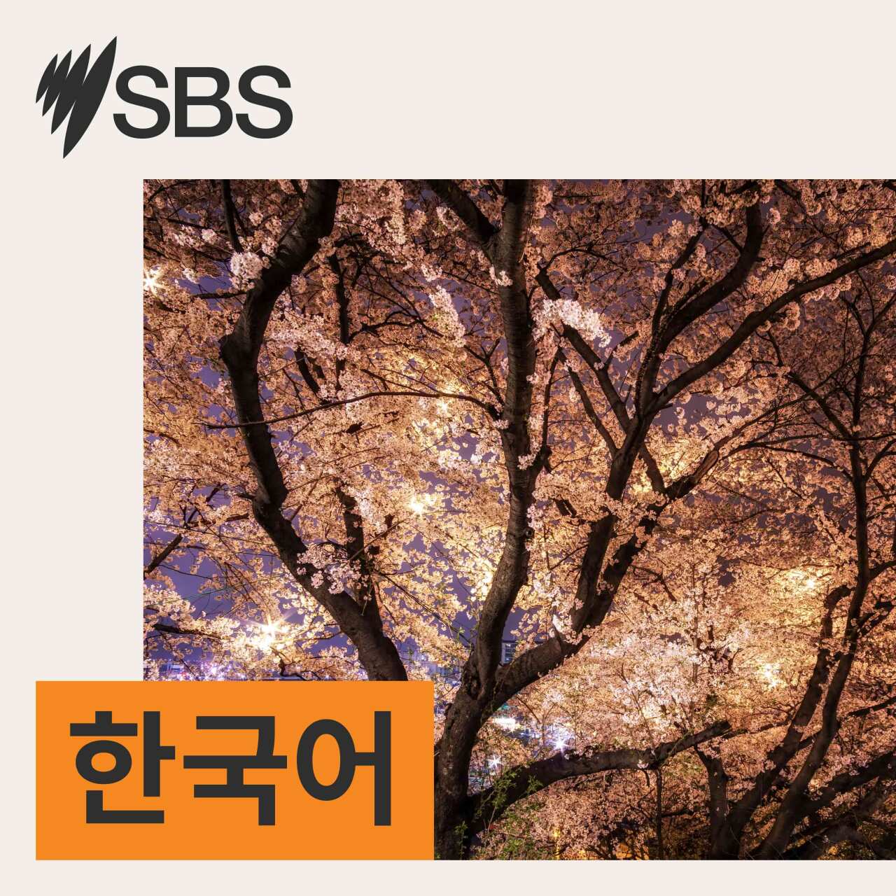 “바쁘신 건 알지만 질문을…” 대학 강의실 과밀에 현장 한숨 episode artwork