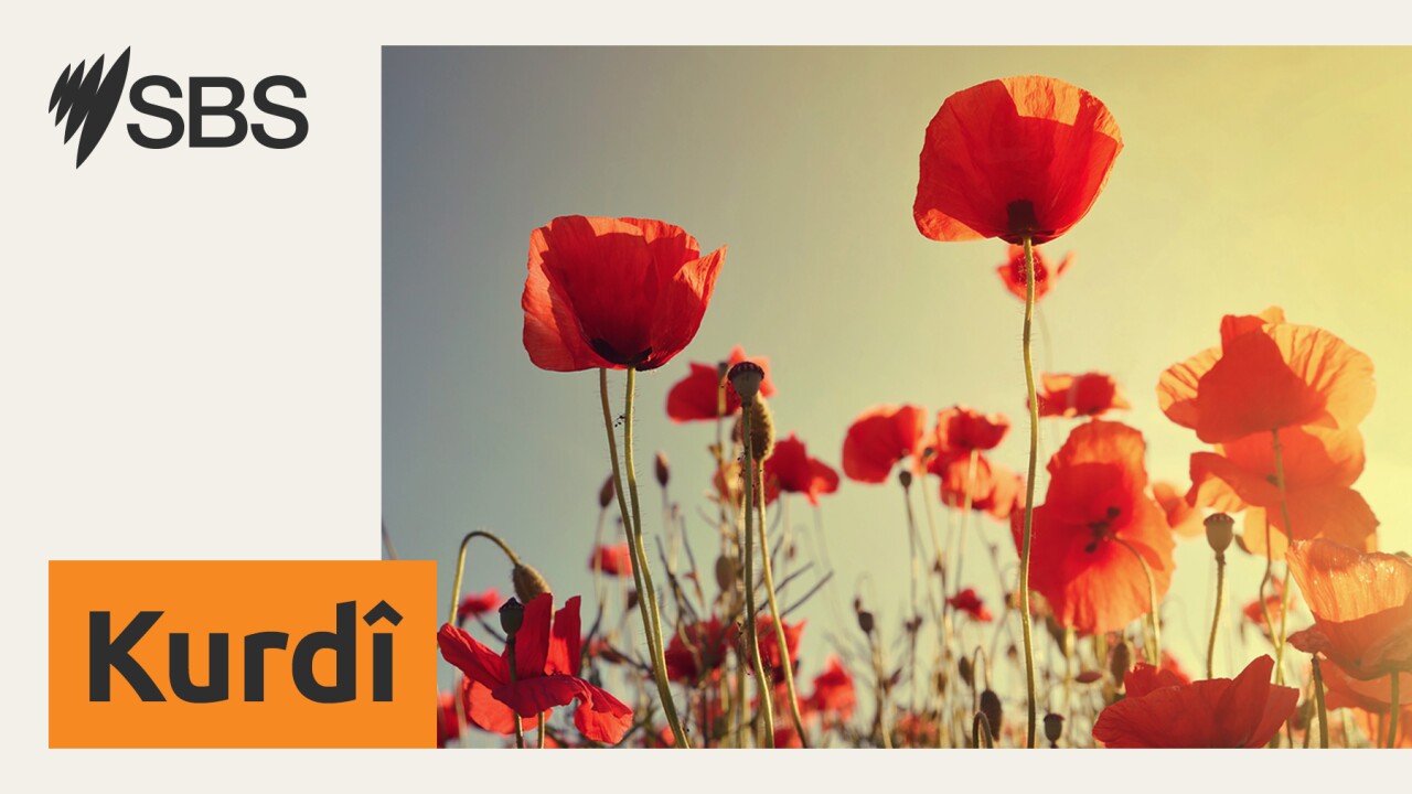 Kampeyn xwendekaran li ser metirsiyên alkeholê dema li derveyî welatin armanc dike Kampeyn xwendekaran li ser metirsiyên alkeholê dema li derveyî welatin armanc dike