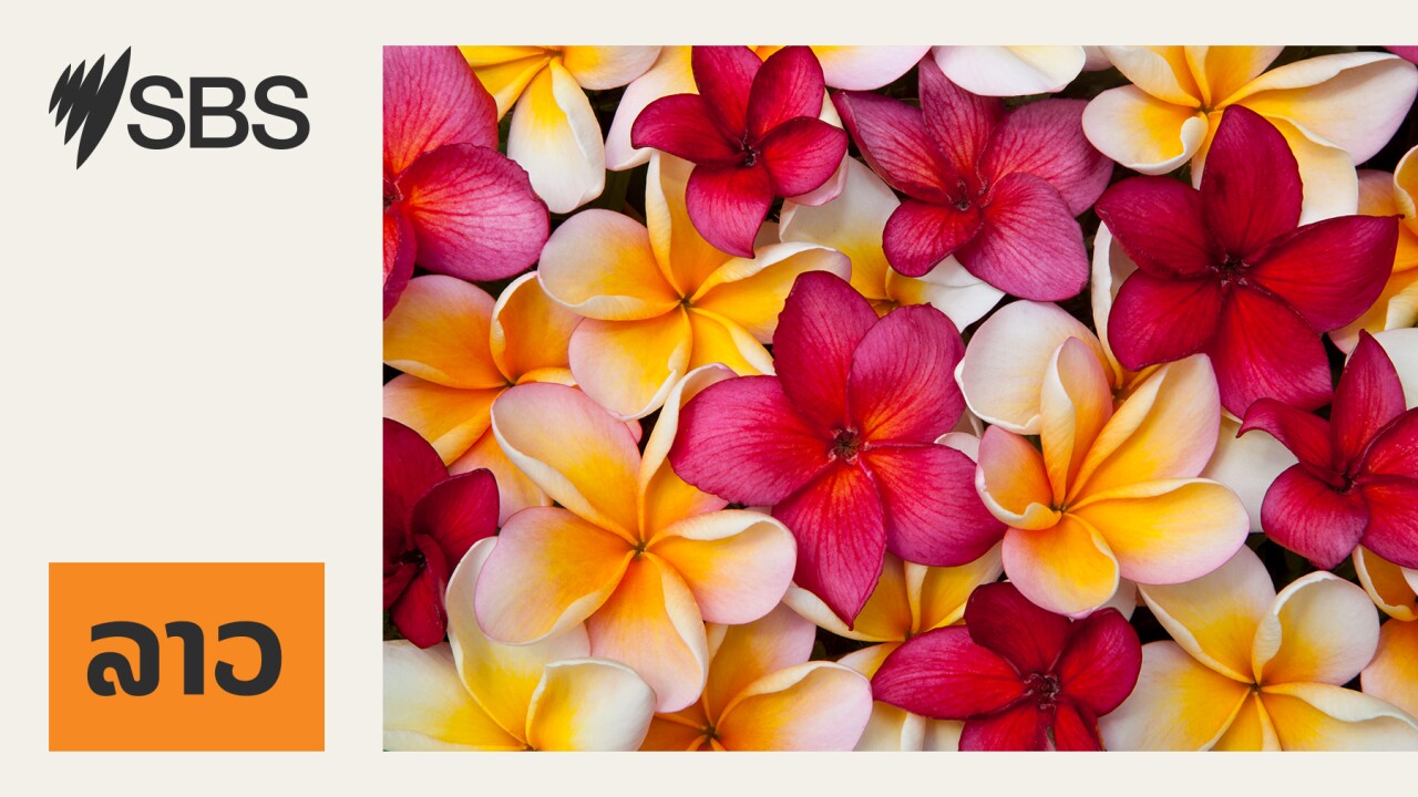 ມີການປິດໂຮງຮຽນຍ້ອນການປົນເປື້ອນຂອງ Asbestos. ມີການປິດໂຮງຮຽນຍ້ອນການປົນເປື້ອນຂອງ Asbestos.