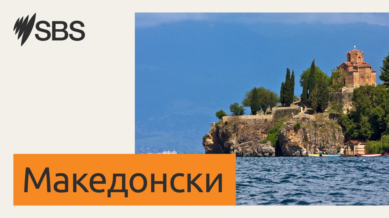 Извештај од Македонија 19 ноември 2025