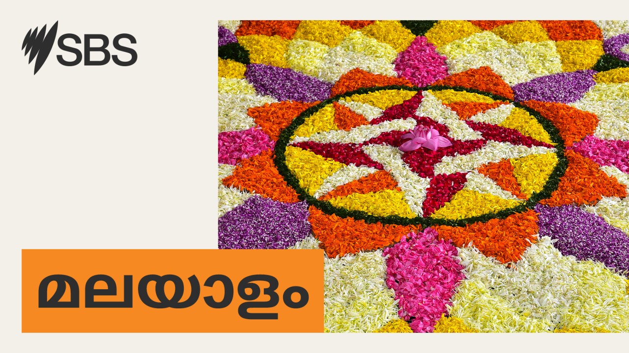 ഓസ്ട്രേലിയ പോയവാരം: രാജ്യത്ത് എൻട്രി ലെവൽ ജോലികൾ കുറയുന്നുവെന്ന് റിപ്പോർട്ട് episode artwork