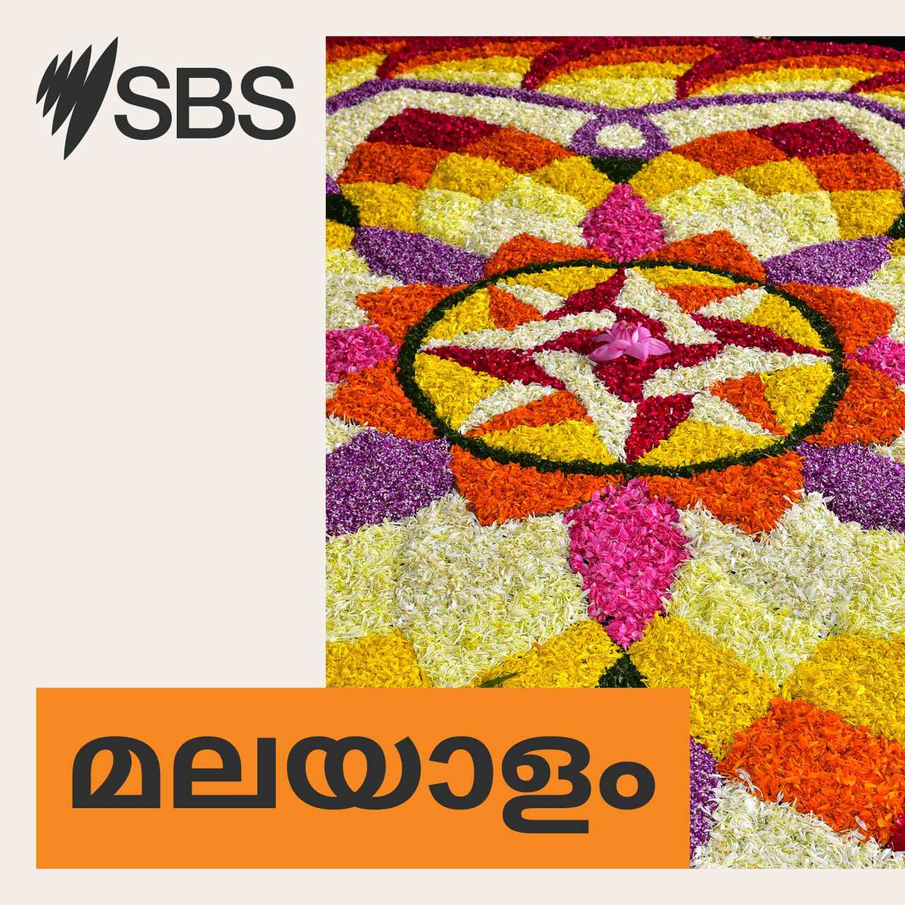 സെൻസസ് ലെറ്റർ ഇല്ലെങ്കിൽ എന്ത് ചെയ്യും; വിദേശത്തുള്ളവർ ABSനെ വിവരം അറിയിക്കണോ? വിശദമായി അറിയാം... episode artwork