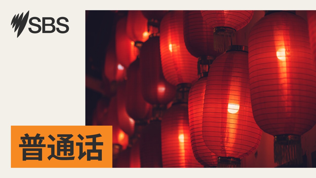 【聚焦美国】安理会通过美国提案 巴勒斯坦建国可能性首次入文