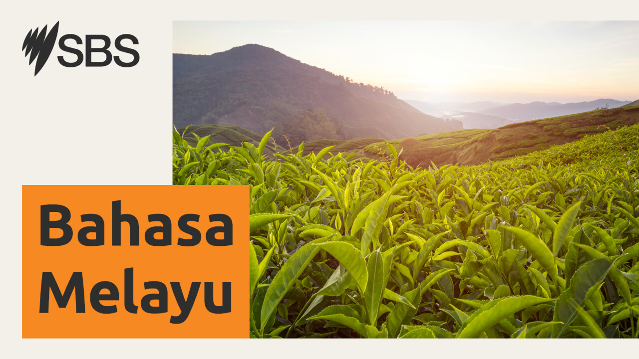 Kembara Kulinari Nikmati Budaya Sarapan Pagi Malaysia Serta Raja Segala Buah-Buahan episode artwork