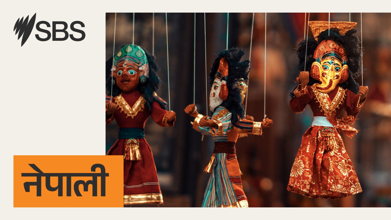 एसबीएस नेपाली प्रमुख अस्ट्रेलियन समाचार: बिहीवार, २० नोभेम्बर २०२५