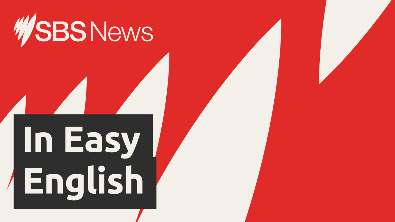 SBS News in Easy English 2 December 2025