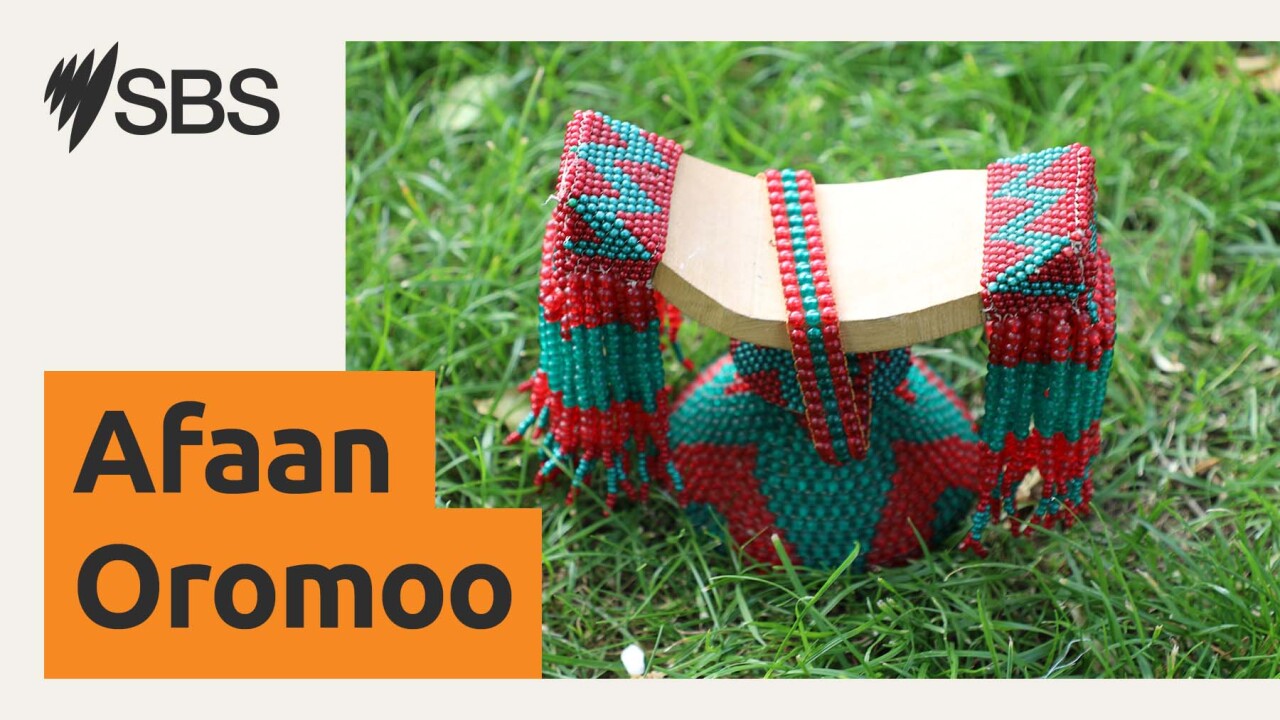 Understanding treaty in Australia: What First Nations people want you to know - Walii galtee Australia keessaattii hubachuu: Sabooti jalqabaa maal akka ati bartuuf barbaadu