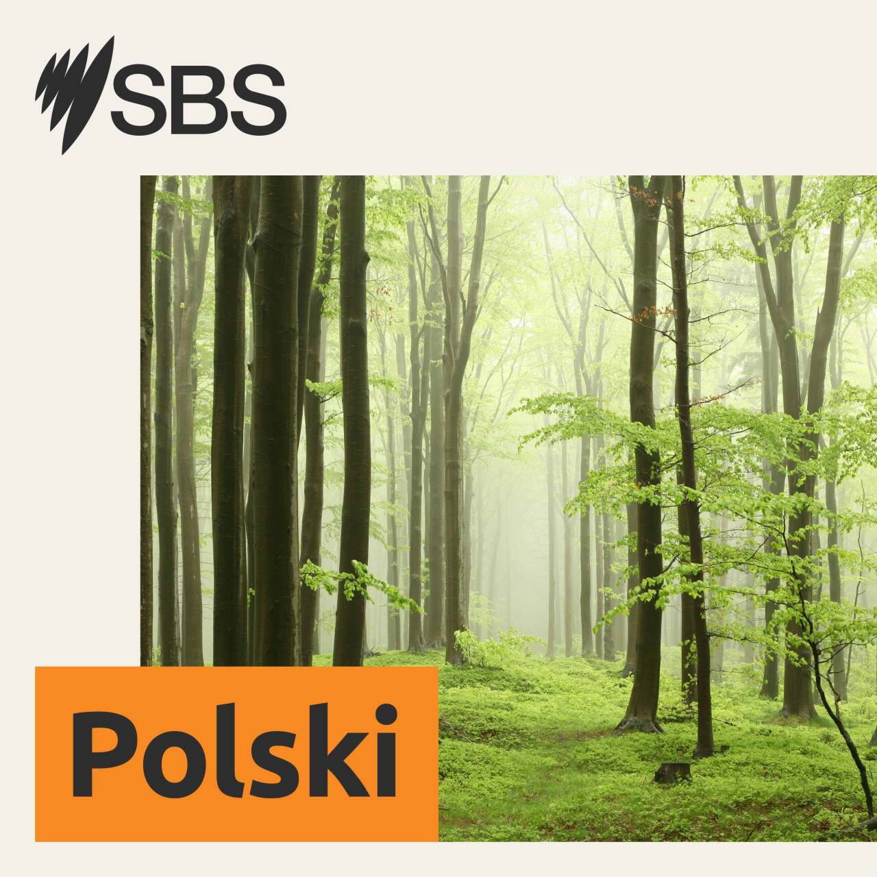 Australia — jak minął tydzień? Skok wartości australijskiego dolara episode artwork