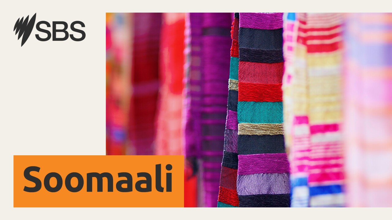 Somalia News - Warkii Soomaaliya: Arbaco 19 November 2025