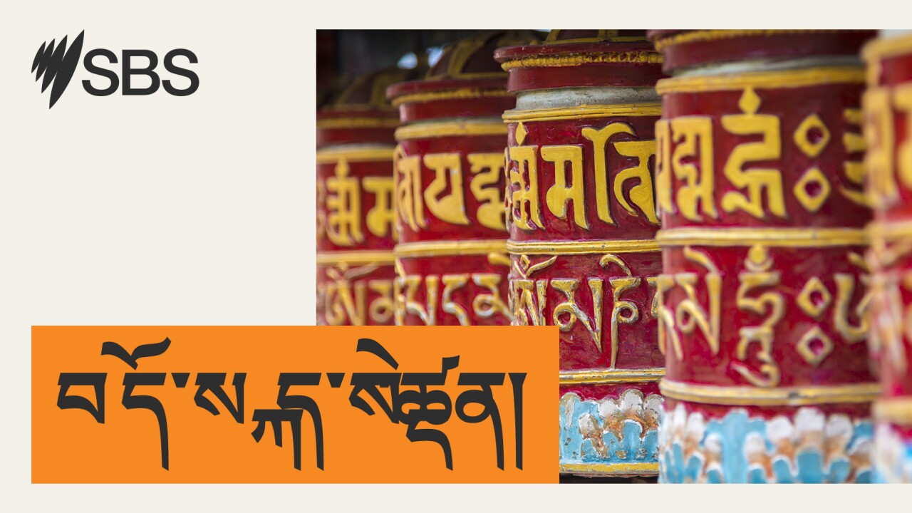 MiniPod: Piece of cake | Words we use - ང་ཚོས་སྤྱོད་པའི་མིང་ཚིག (པི་སི་ཨོ་ཧྤོ་ཀེག)