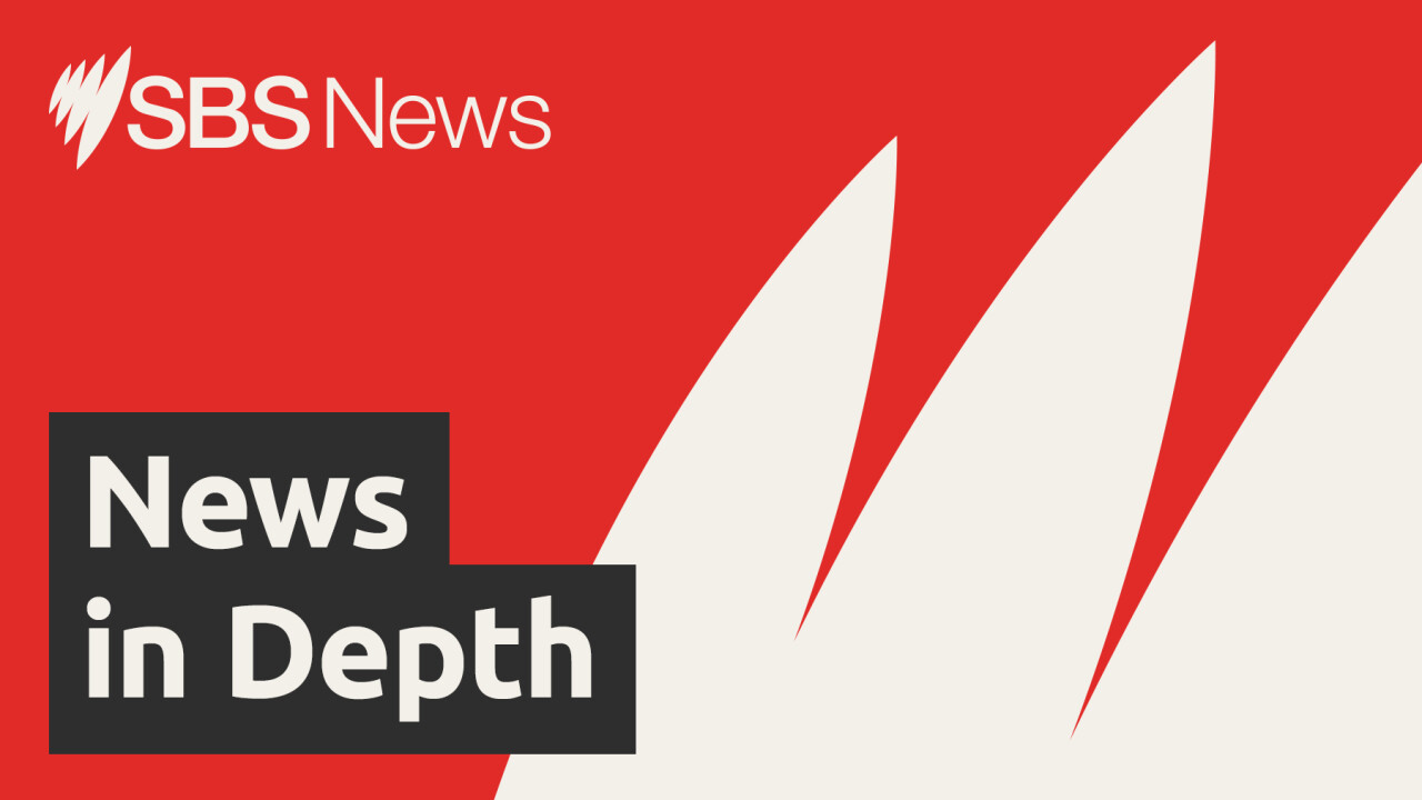 US Congress votes to force release of Epstein files