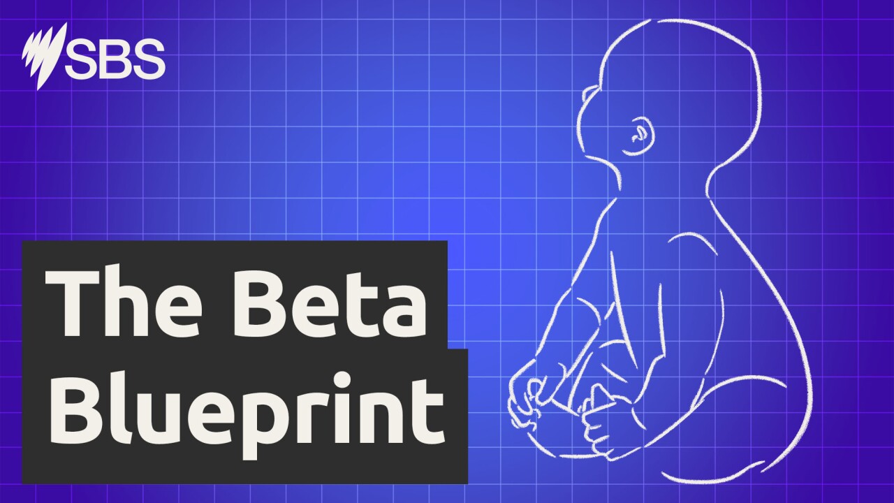 Introducing: The Beta Blueprint