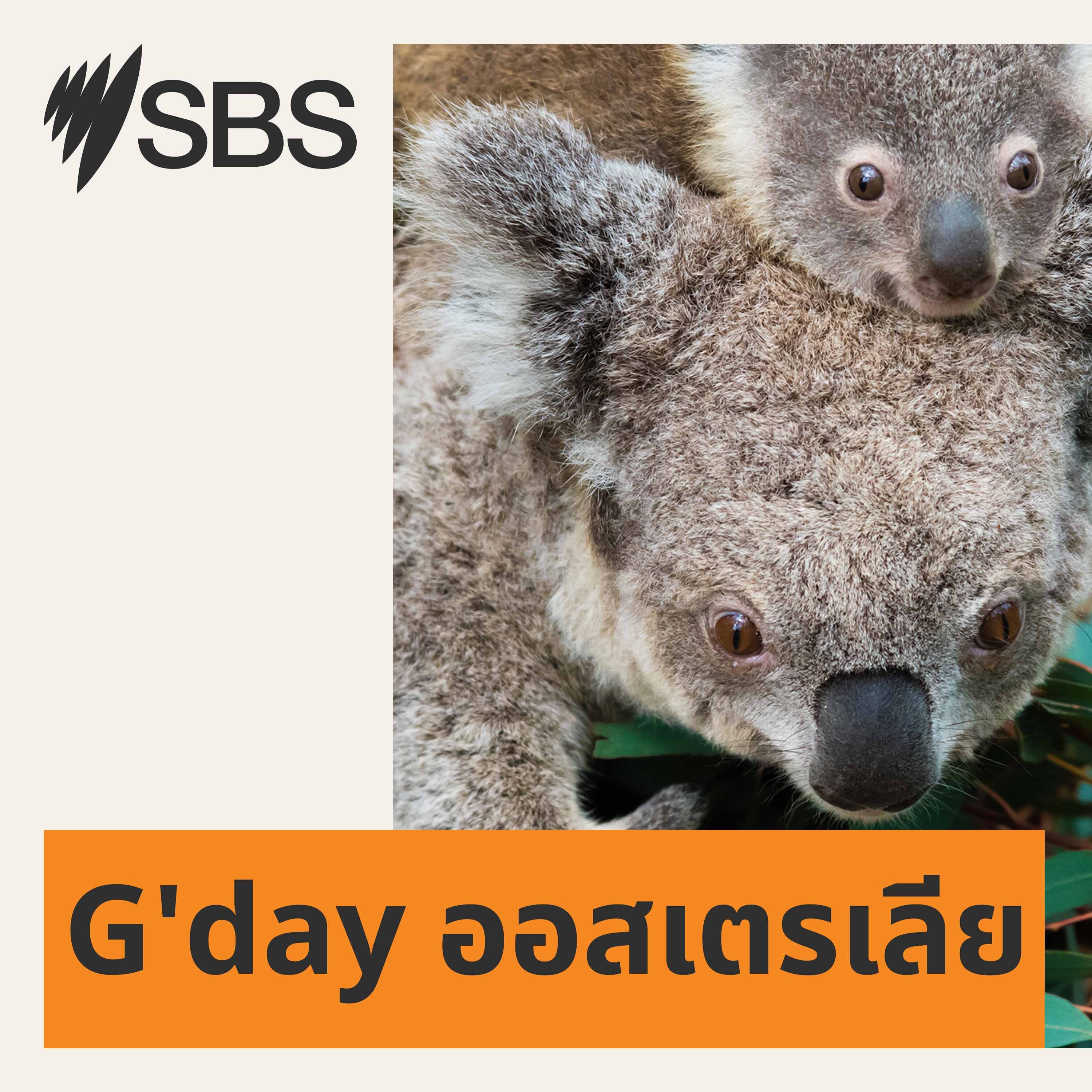 G'Day Australia in Thai - อธิบายวิถีออสซี podcast artwork