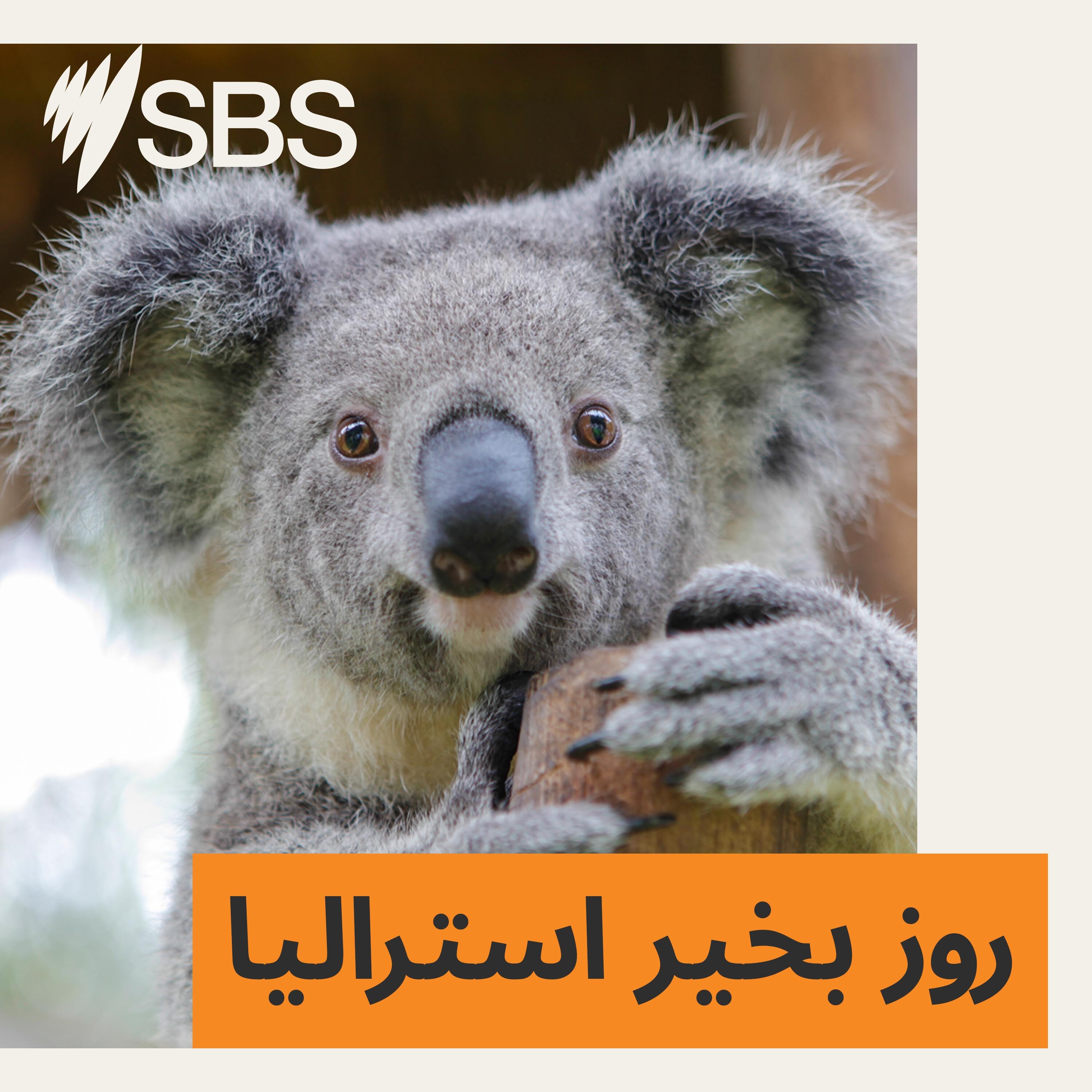 روز بخیر استرالیا