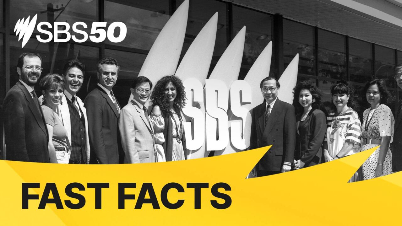 SBS50: Fast Facts 2012 episode artwork