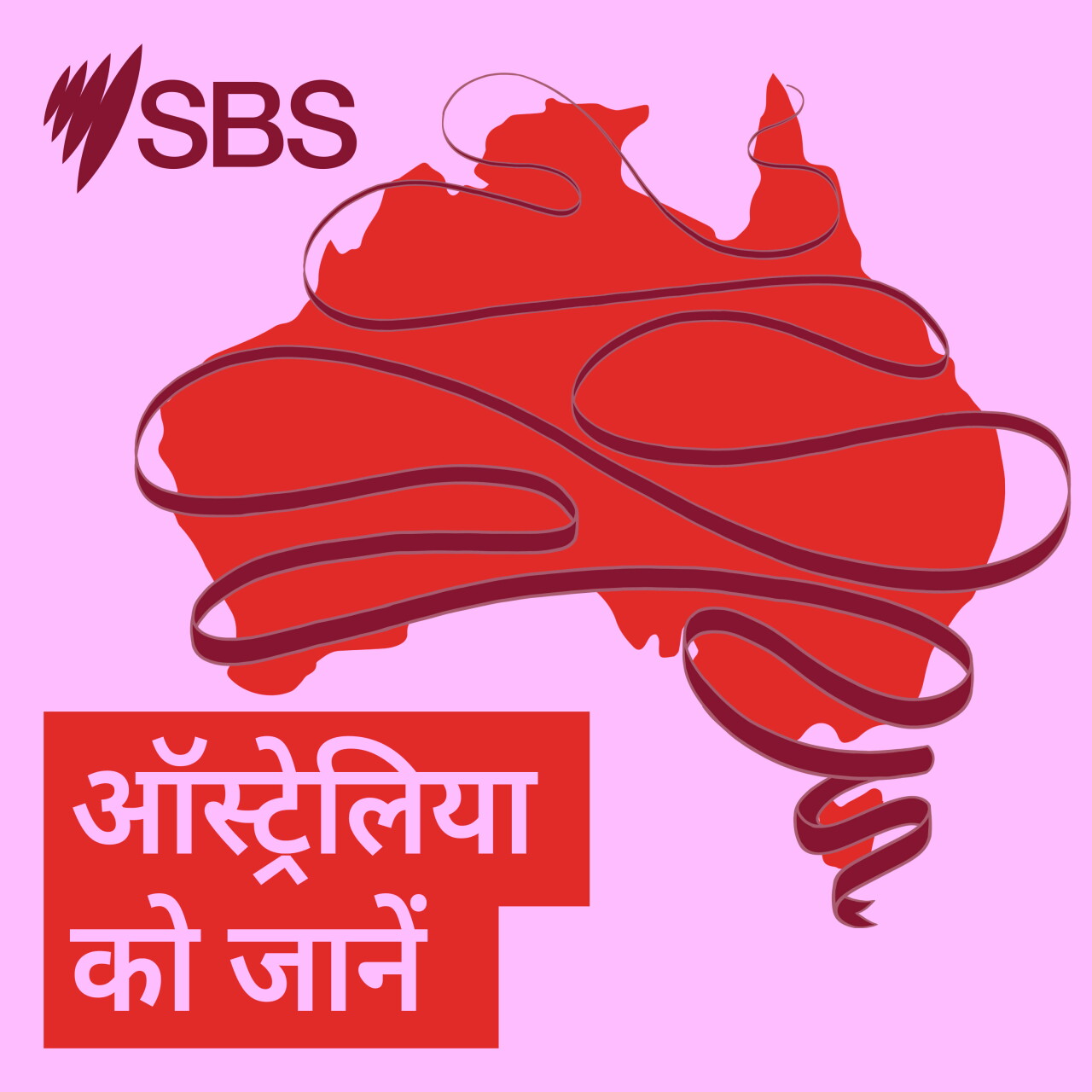 2026 Census: What you need to know to ensure you’re counted - 2026 Census: जनगणना में आपकी गिनती हो, इसे सुनिश्चित करने के लिये आपको क्या जानना चाहिए episode artwork