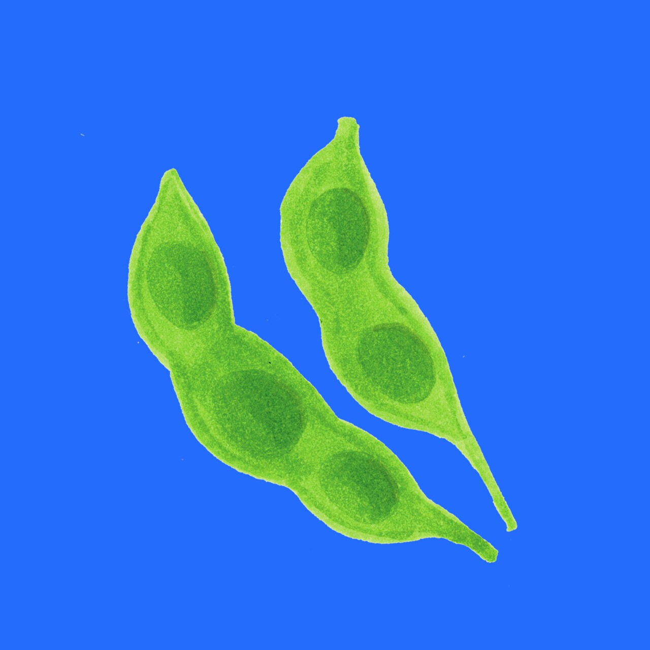 Soy: Traditional craft, miracle crop, male threat?