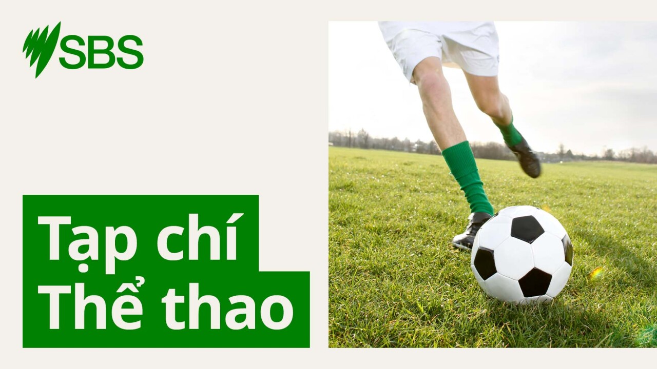 Tạp chí Thể thao