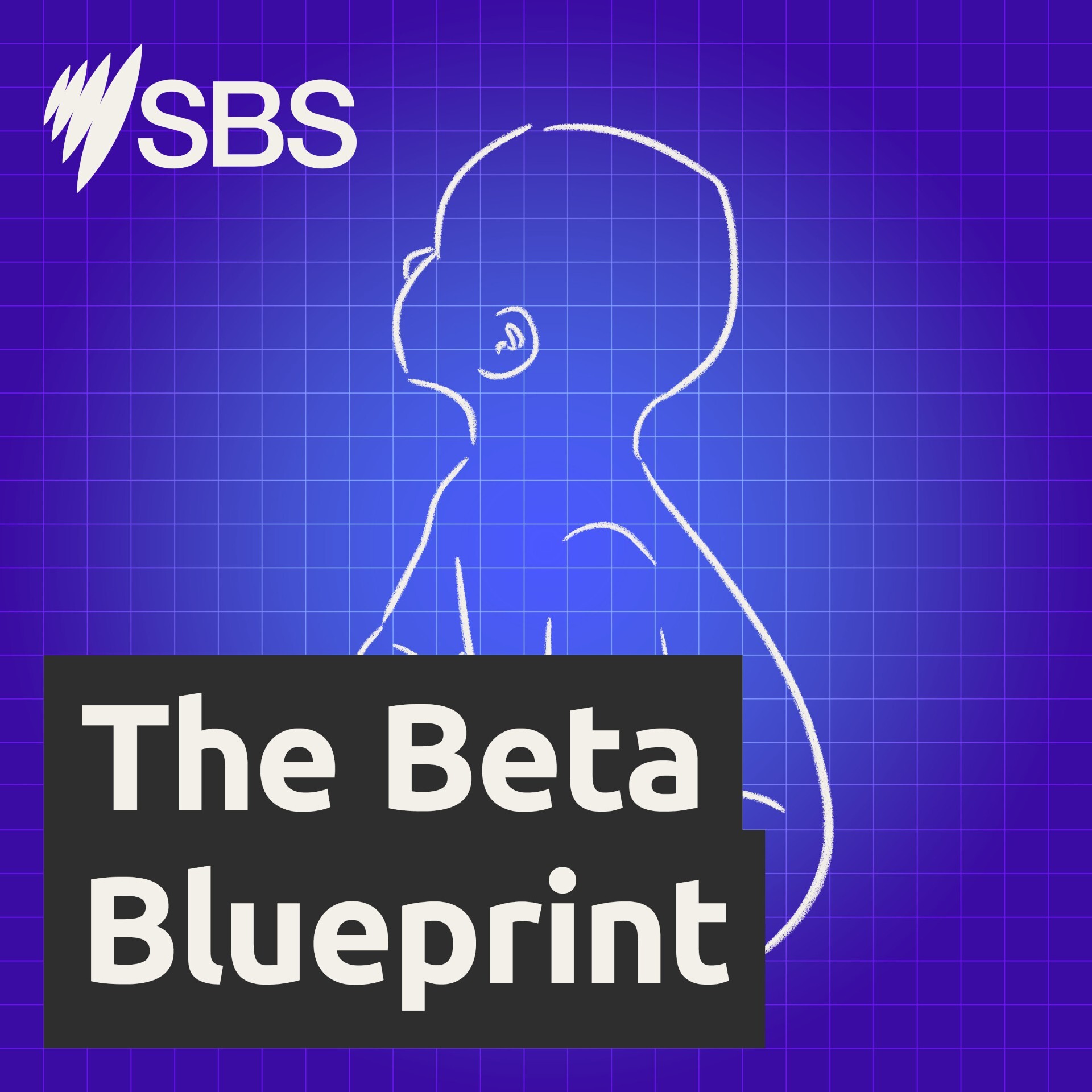 The Beta Blueprint