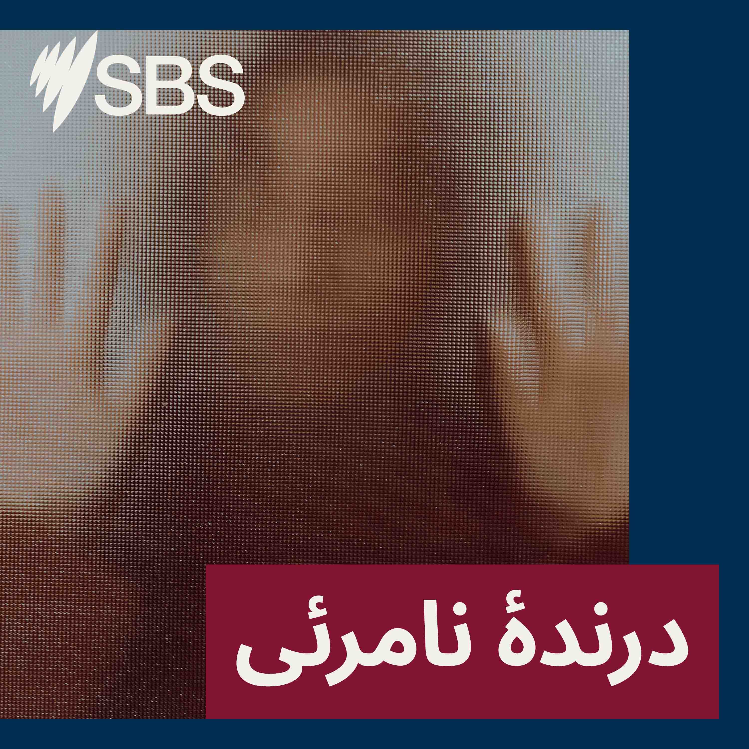 درندۀ نامرئی