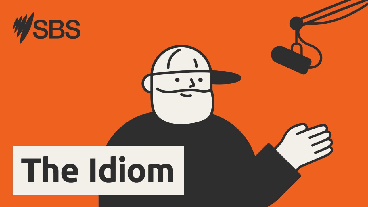 Introducing The Idiom: How do words shape our world?