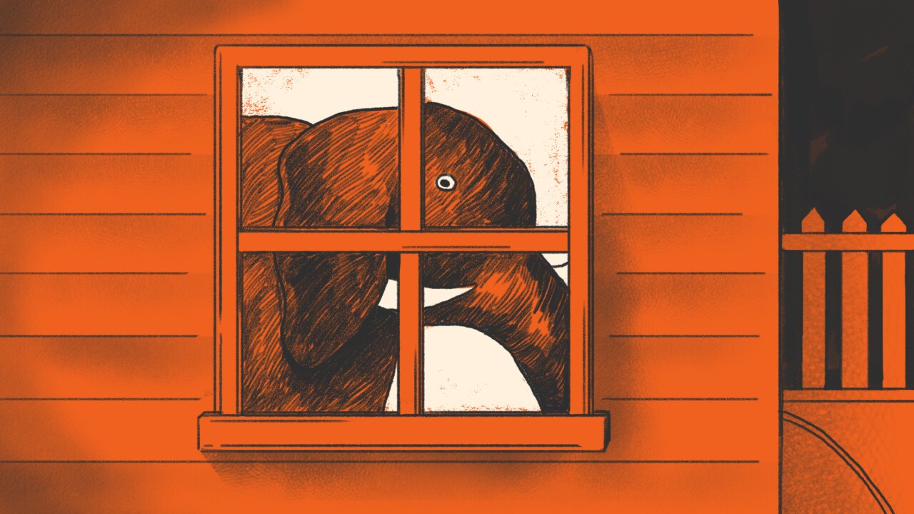 The Elephant in the Room