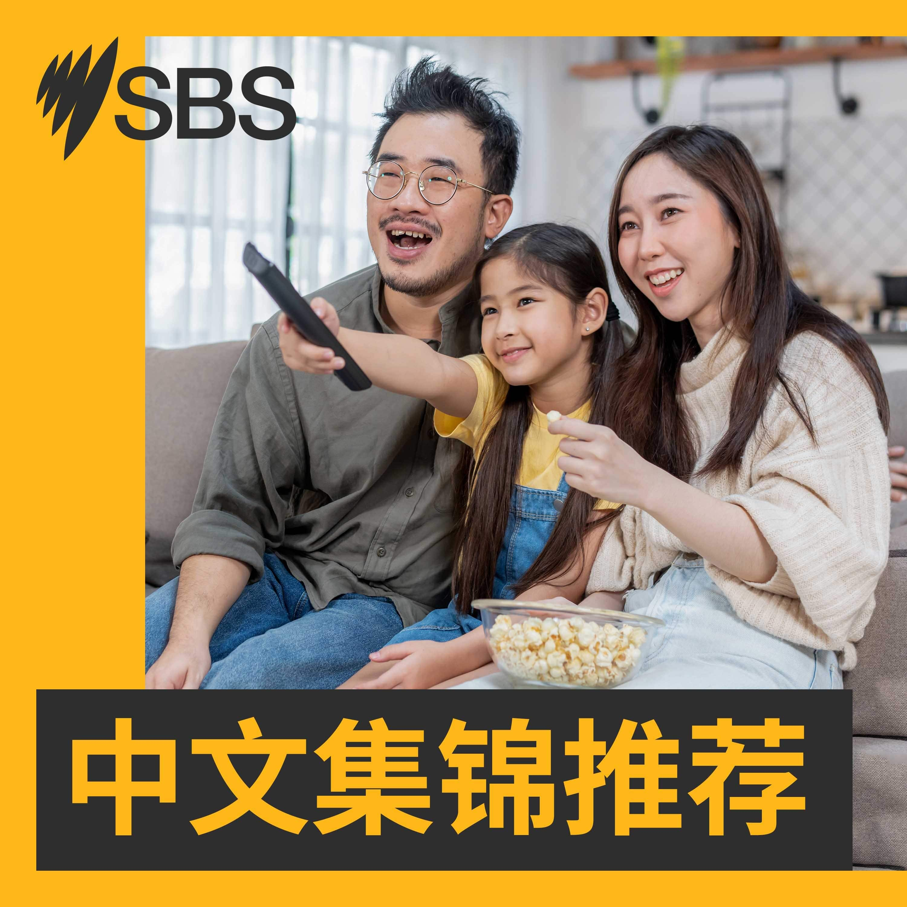 SBS中文集锦推荐